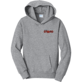 Prestige Stars Youth Fan Favorite Fleece Pullover Hooded Sweatshirt