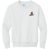 Danbury Hat Tricks Youth Core Fleece Crewneck Sweatshirt